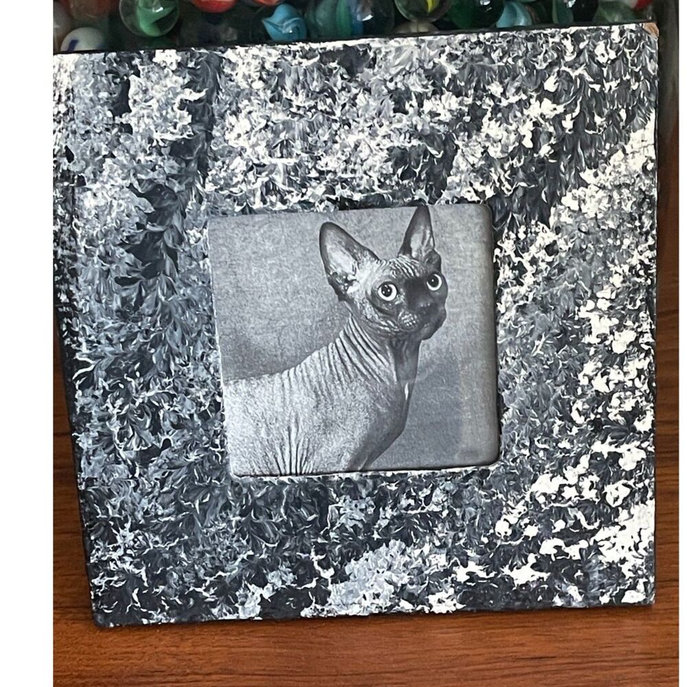 Vintage Small Sphynx Cat Picture Upcycled Print 6x6 Black/Gray Frame Cottagecore